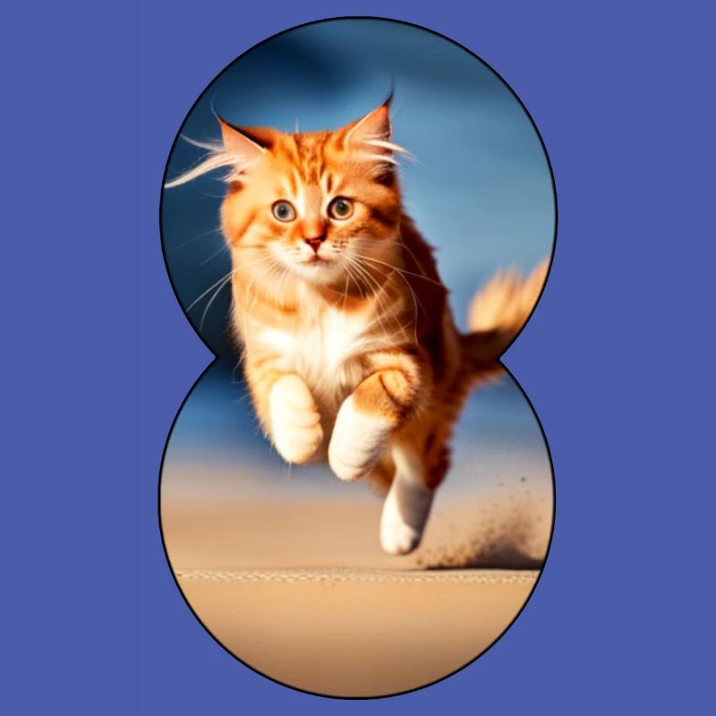 Chat en cours d’exécution 7