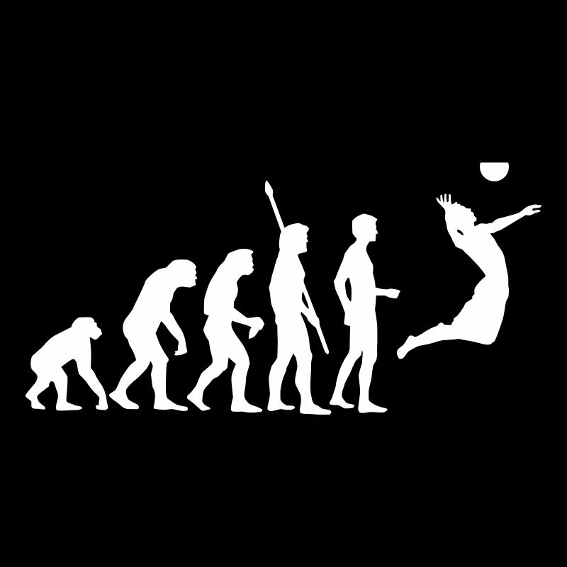 evolution_volleyball_1c