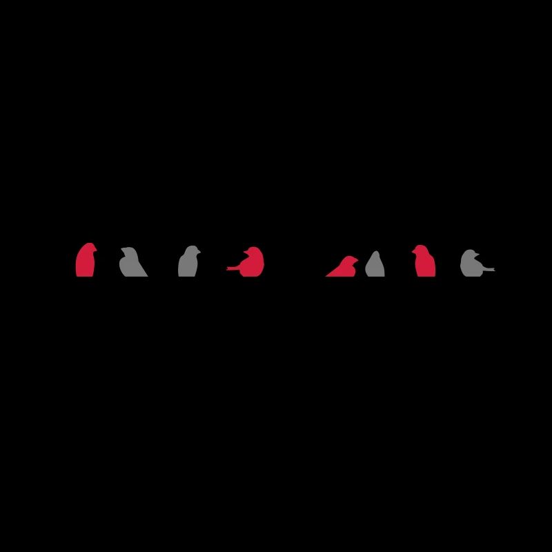 birds