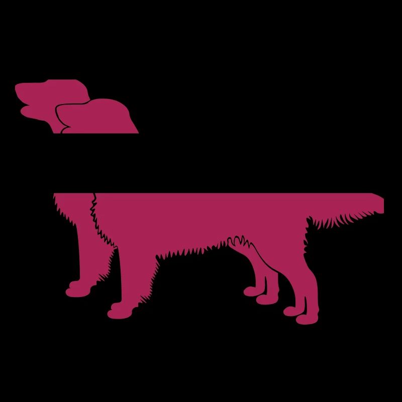 2 Flat Coated Retriever