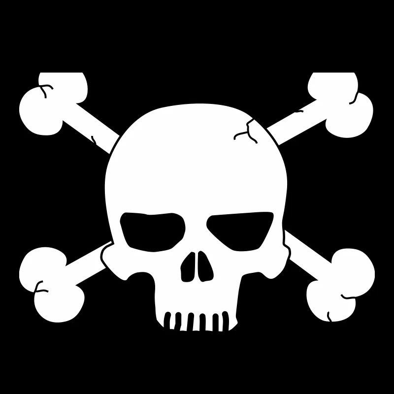 skull with bones / pirate