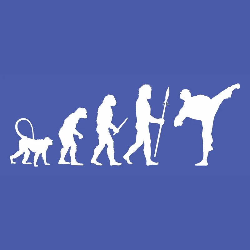 Karate Evolution