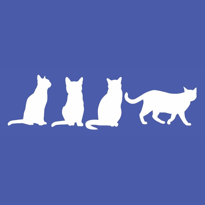 Drôles de chats