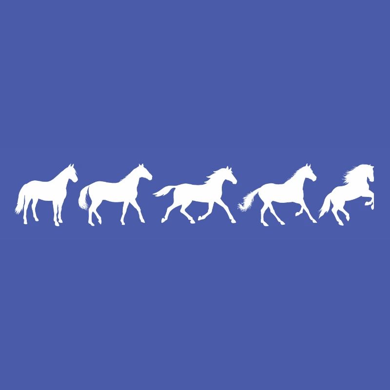 ! Evolution Pferd in Bewegung