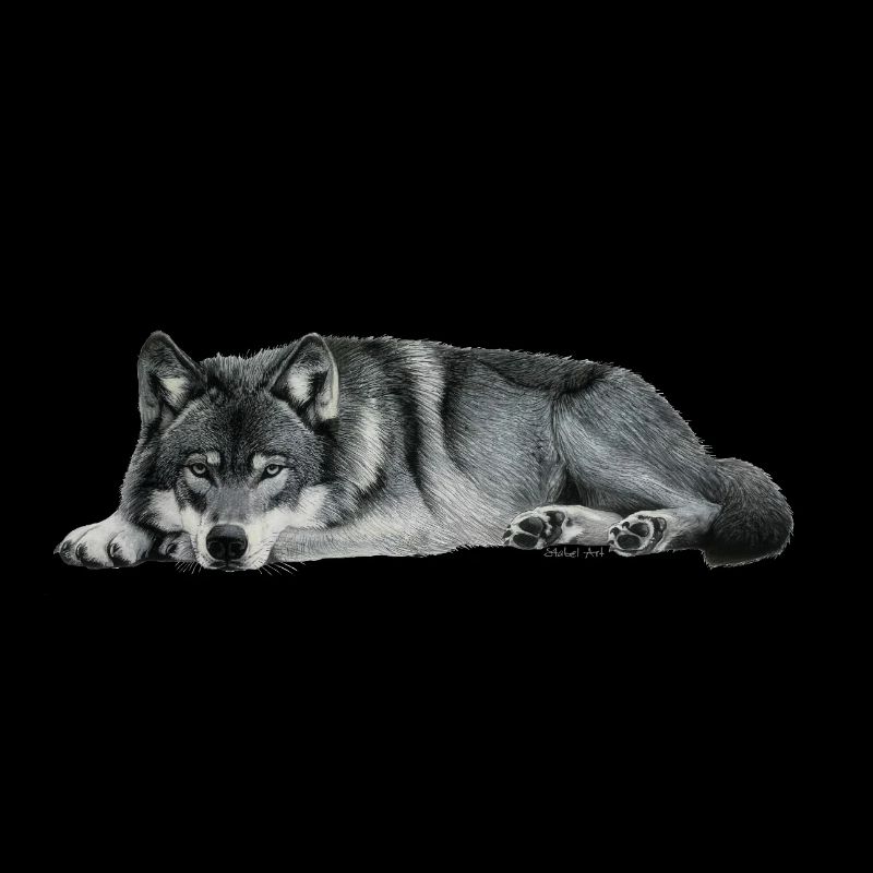 wolf