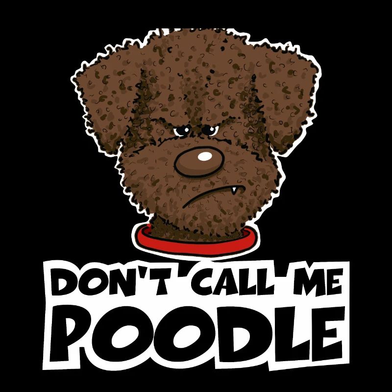 Poodle1 2