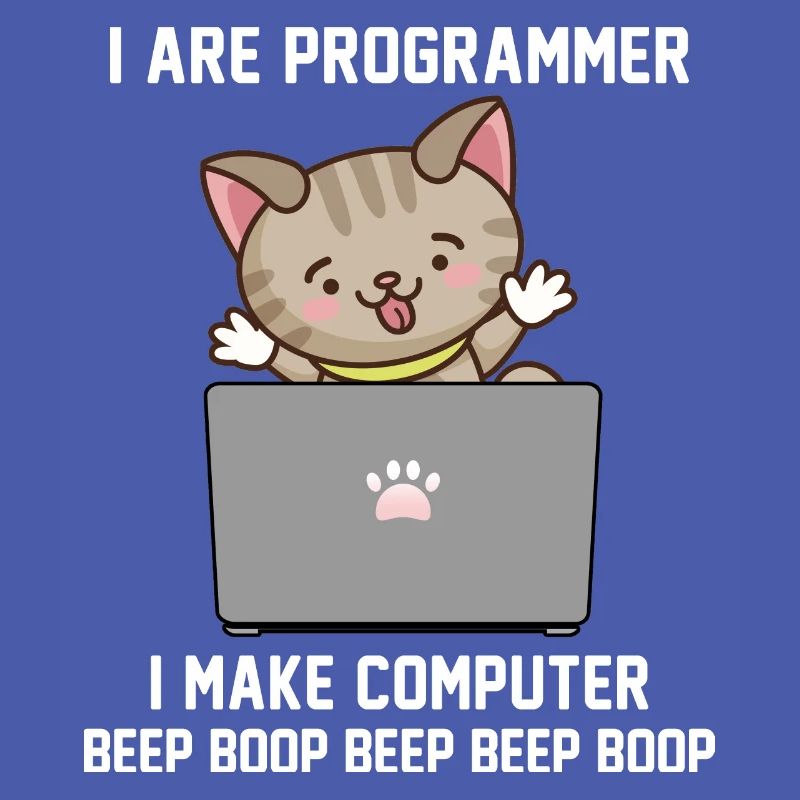 Programmierer