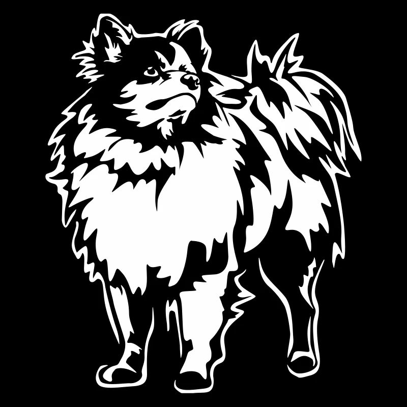 Spitz "Black Edition"