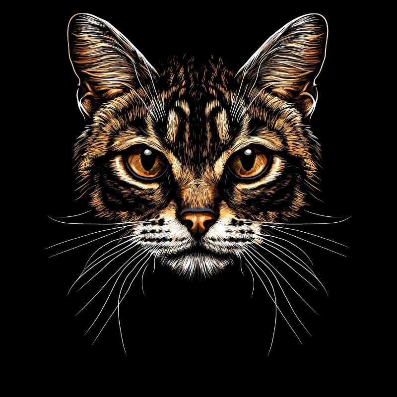 Chat Bengal Chat Léopard Chat Leopardette Chats Bengale
