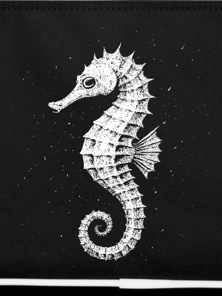 Hippocampe