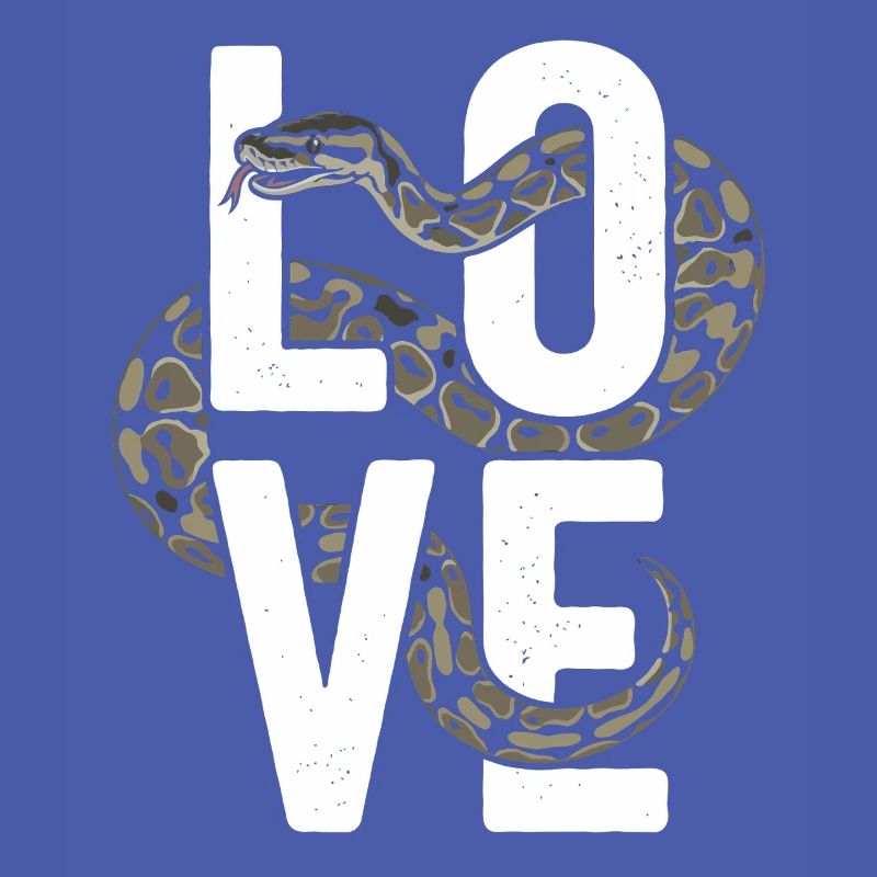 King Python Snakes LOVE Terrarium Python