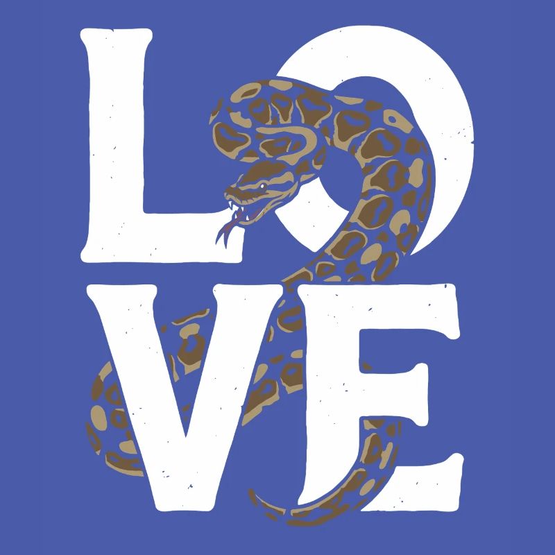 King Python Snakes LOVE Terrarium Python