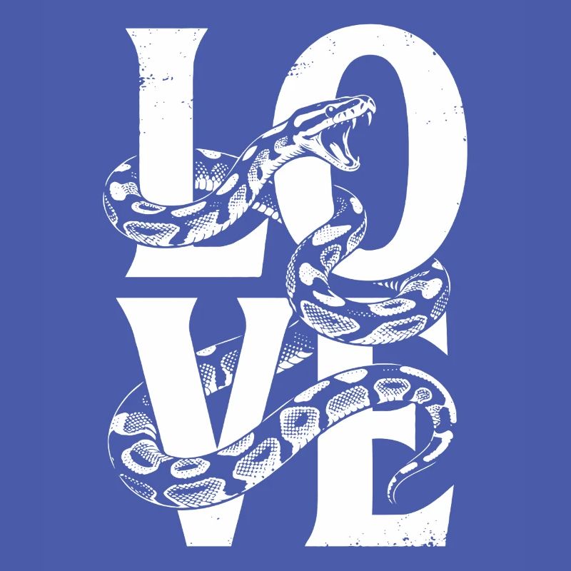 King Python Snakes LOVE Terrarium Python