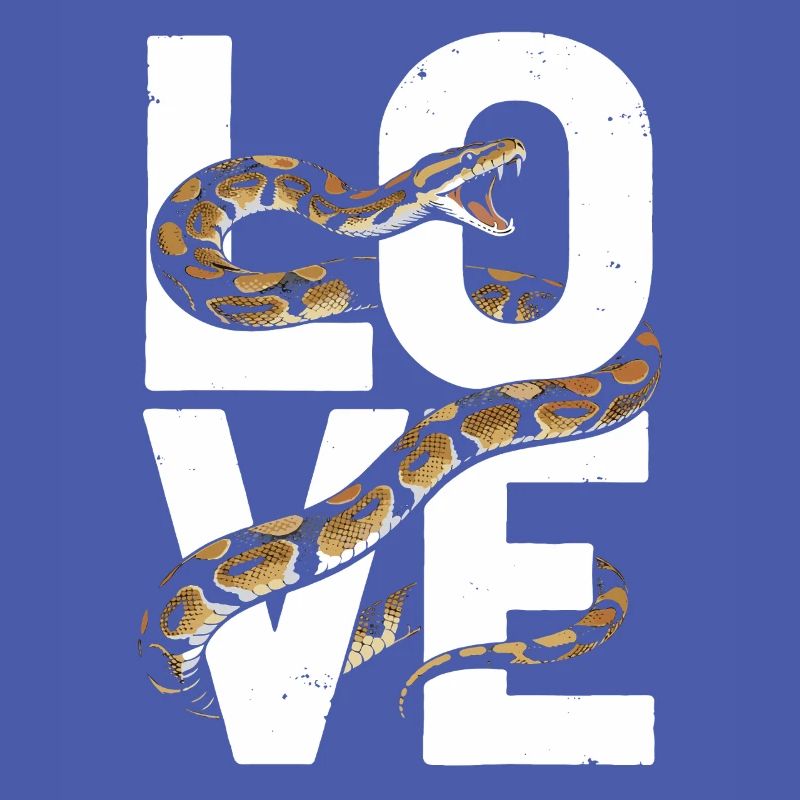 King Python Snakes LOVE Terrarium Python