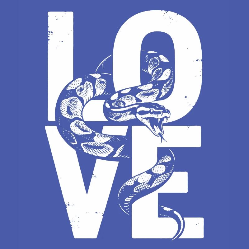 Königspython Schlangen LOVE Terrarium Python