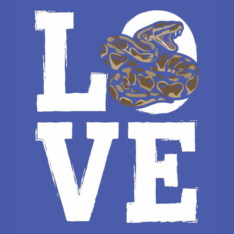 King Python Snakes LOVE Terrarium Python