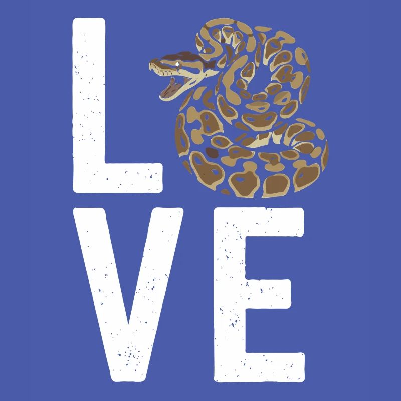 King Python Snakes LOVE Terrarium Python