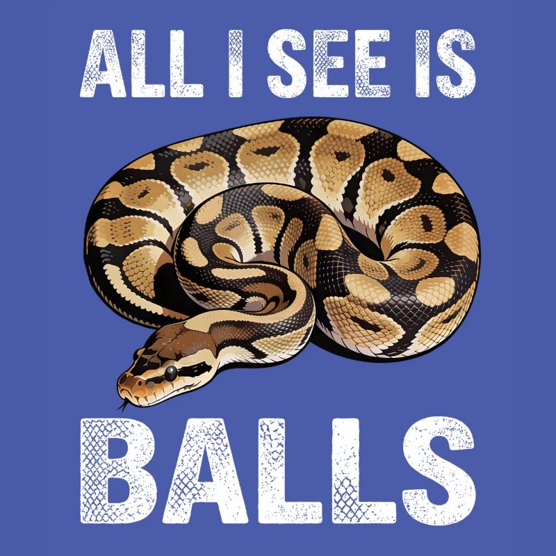 Python roi Serpents Amateurs de terrarium Python