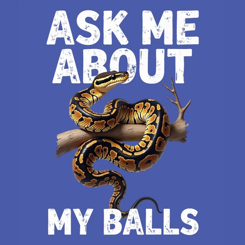 Königspython Schlangen Liebhaber Terrarium Python