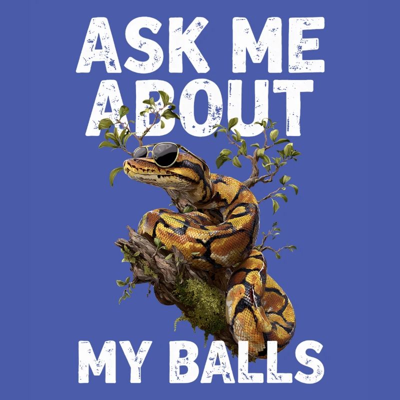 Königspython Schlangen Liebhaber Terrarium Python