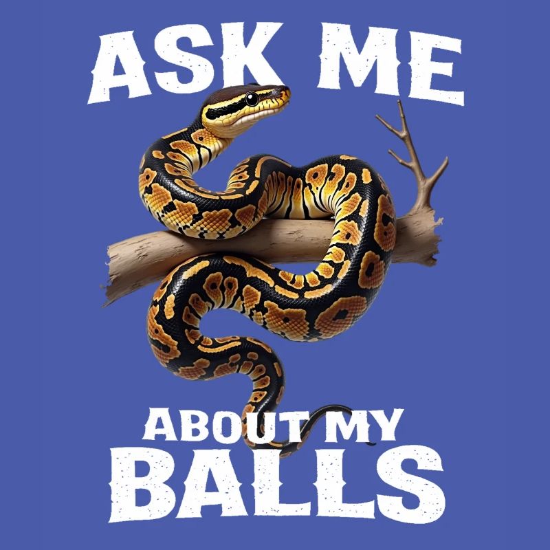 Königspython Schlangen Liebhaber Terrarium Python