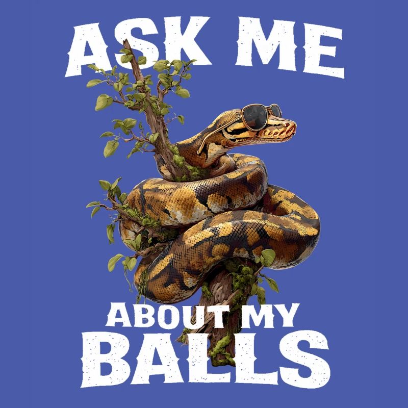 Königspython Schlangen Liebhaber Terrarium Python