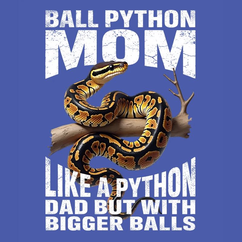 Maman Python roi Maman Serpents Terrarium Python