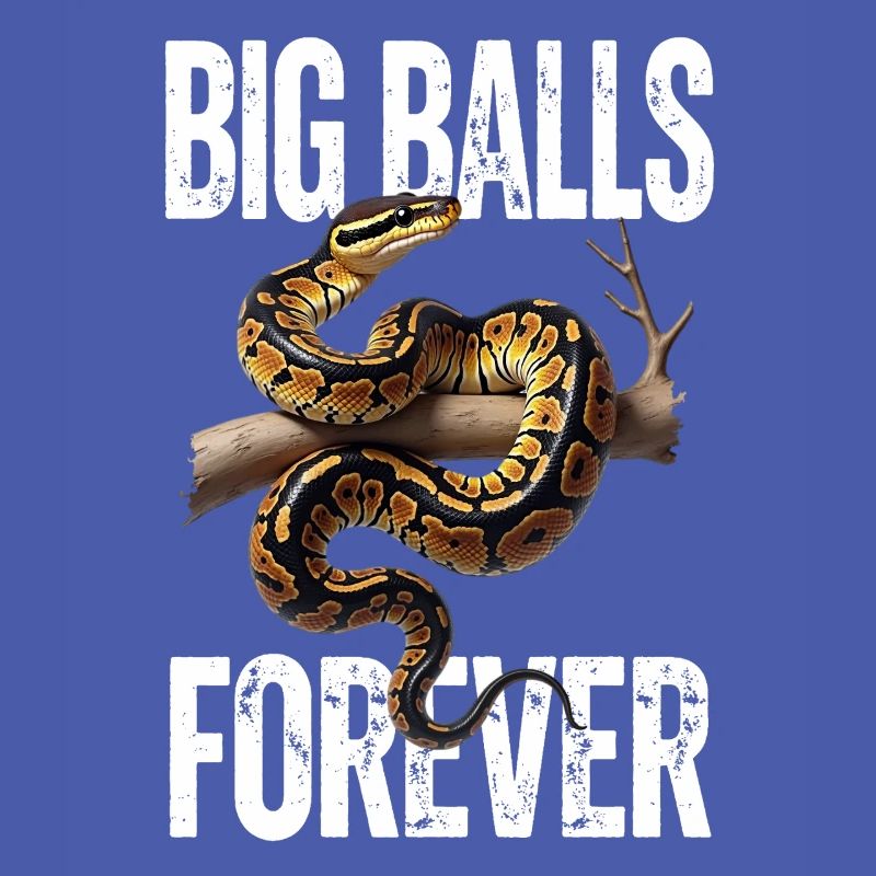 Königspython Schlangen Liebhaber Terrarium Python