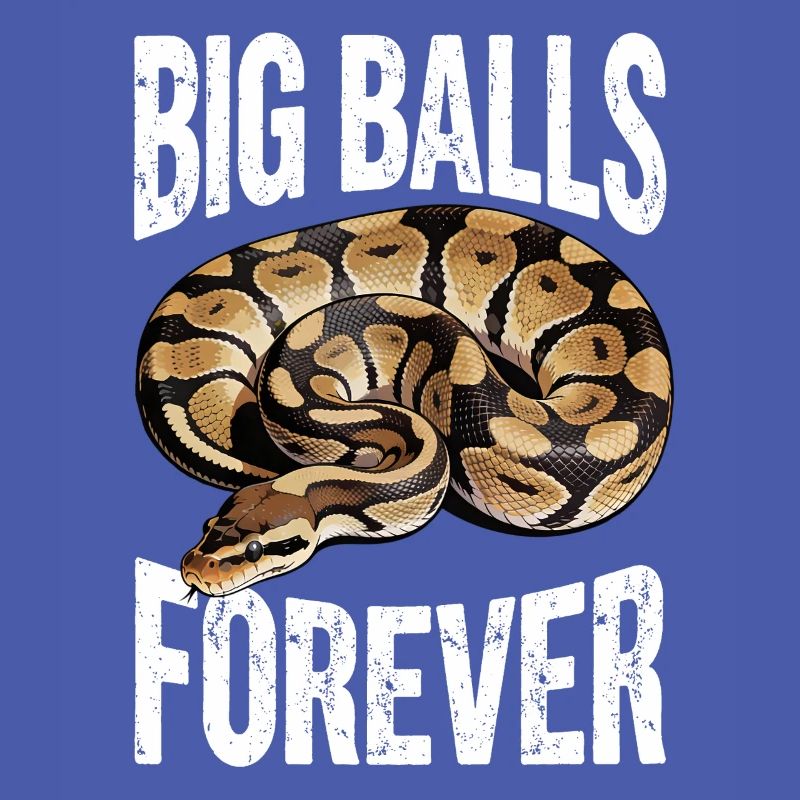 King Python Snakes Lover Terrarium Python