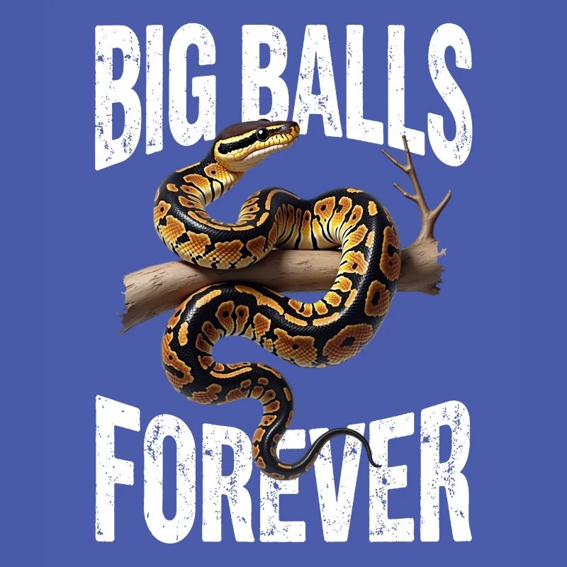 King Python Snakes Lover Terrarium Python