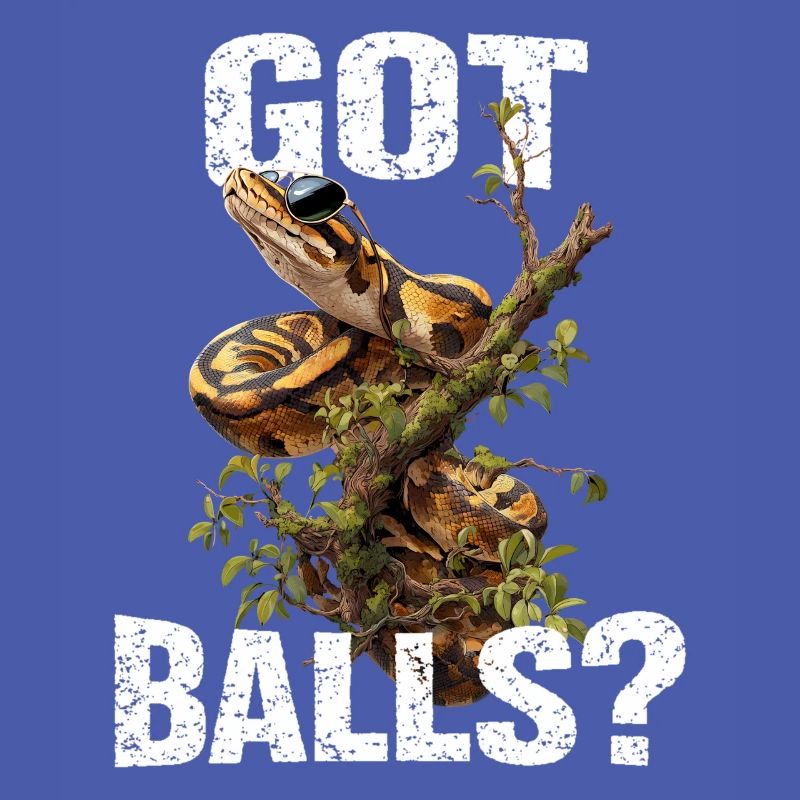 Königspython Schlangen Liebhaber Terrarium Python