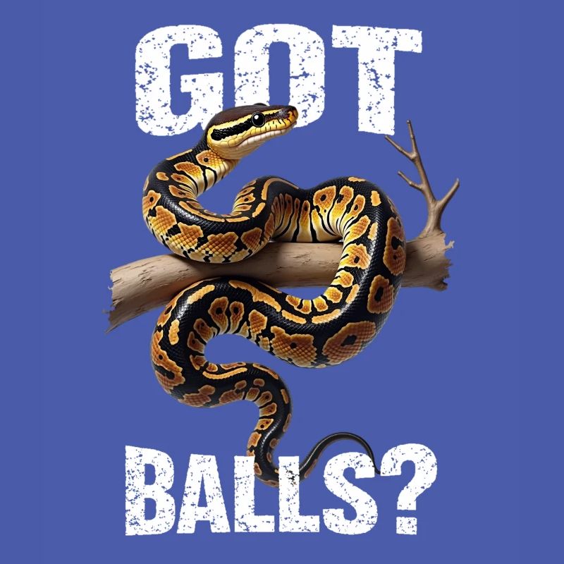 Python roi Serpents Amateurs de terrarium Python