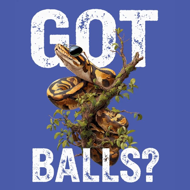 Python roi Serpents Amateurs de terrarium Python