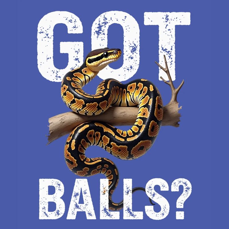 Königspython Schlangen Liebhaber Terrarium Python