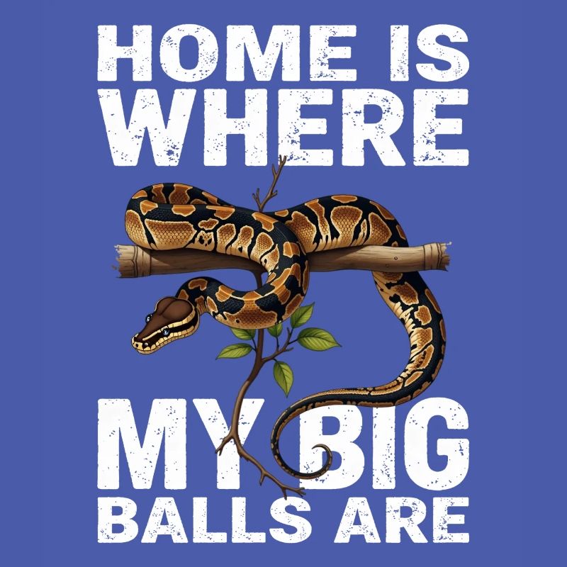 Python roi Serpents Amateurs de terrarium Python