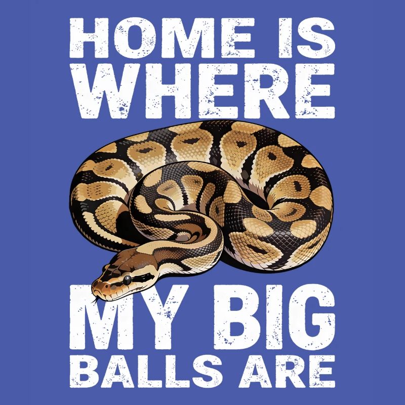 Königspython Schlangen Liebhaber Terrarium Python