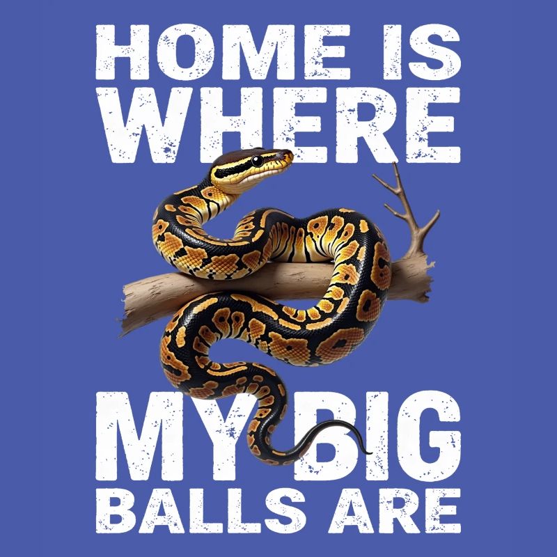 Python roi Serpents Amateurs de terrarium Python