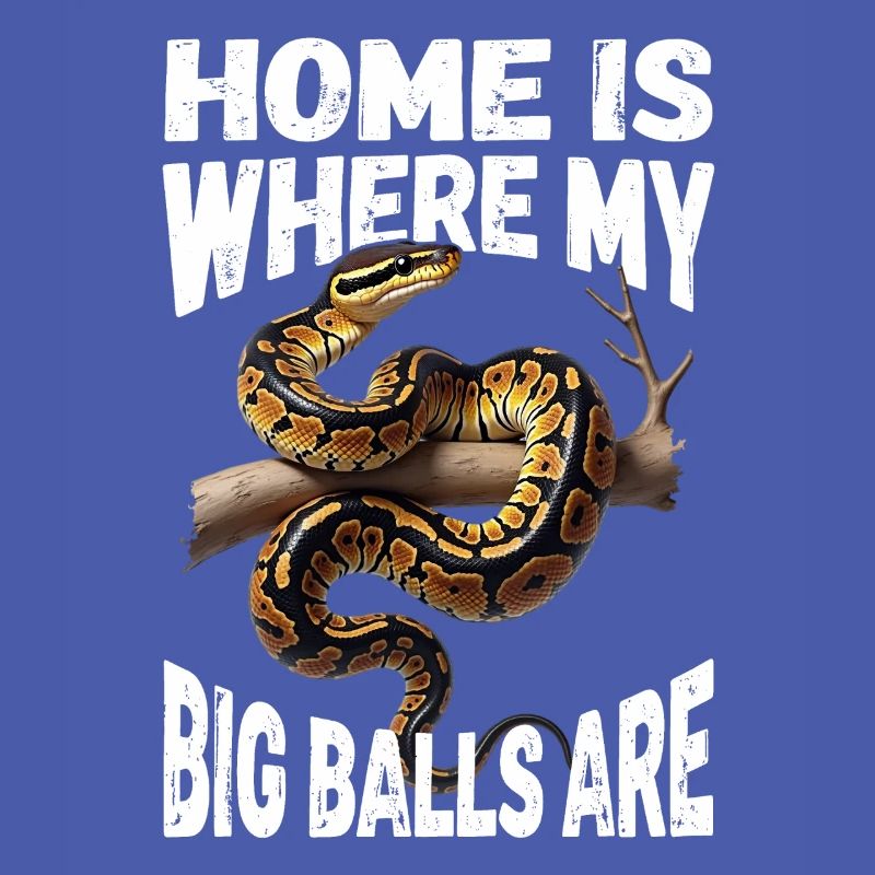 Python roi Serpents Amateurs de terrarium Python