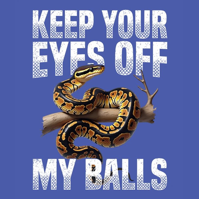 Python roi Serpents Amateurs de terrarium Python