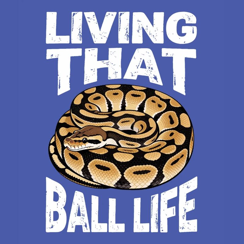 Python roi Serpents Amateurs de terrarium Python