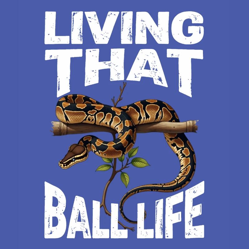 Python roi Serpents Amateurs de terrarium Python