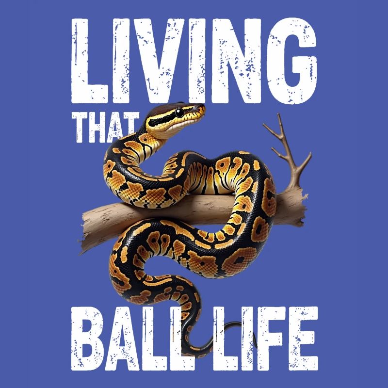 King Python Snakes Lover Terrarium Python