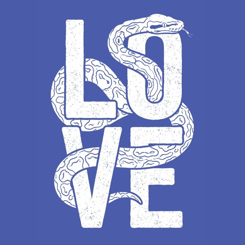 Königspython Schlangen LOVE Terrarium Python