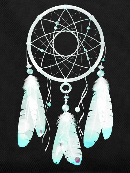 Dreamcatcher Starry Flying