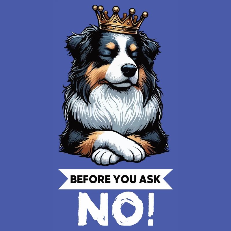 Before You Ask Australian Shepherd Aussie Aussies