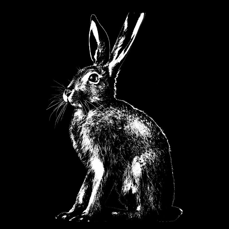 Hare / Bunny / Rabbit // Easter Bunny