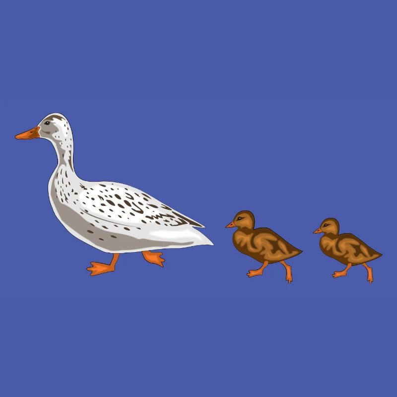 canard