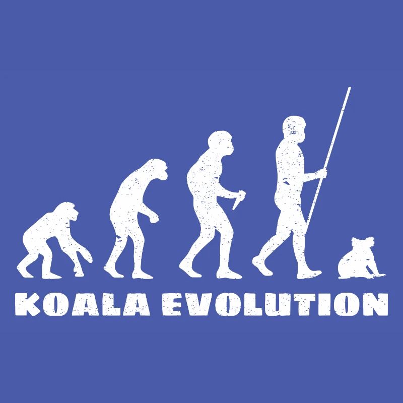 Évolution du koala