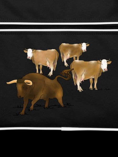 Bull, cows