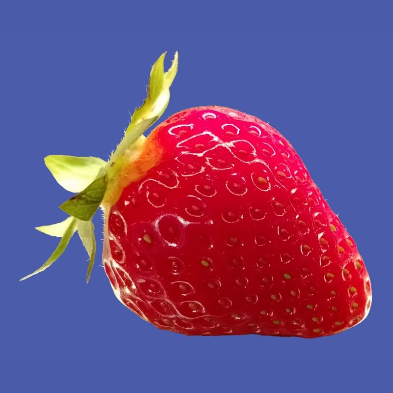 FRAISE